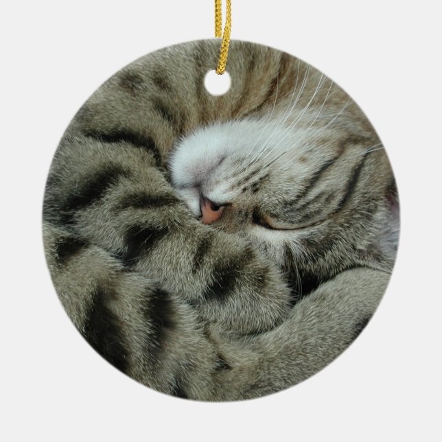Sleeping Tiger-Cat Ceramic Tree Decoration (Front)