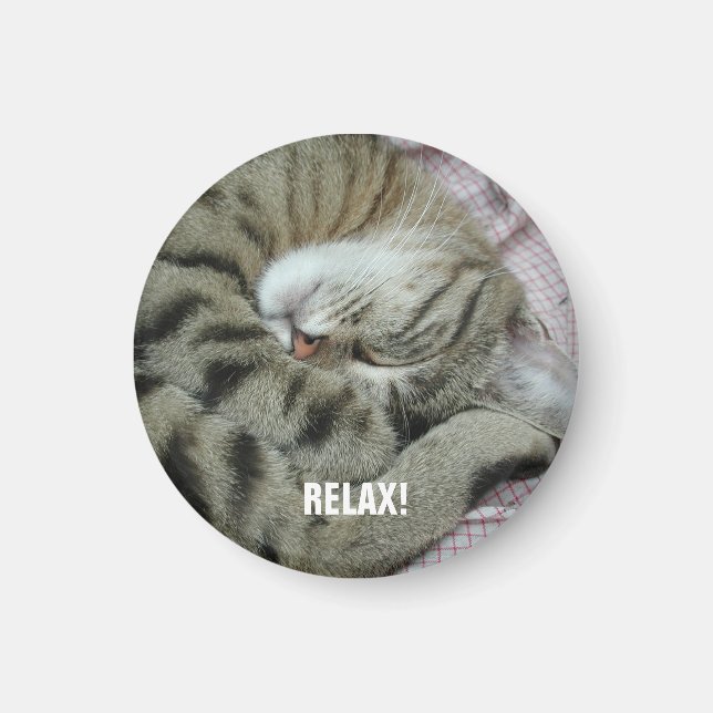 Sleeping Tiger-Cat Magnet (Front)