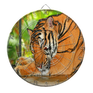 Sleeping Tiger Dartboard