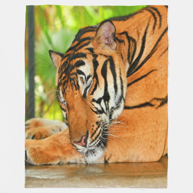 Sleeping Tiger Fleece Blanket (Front)