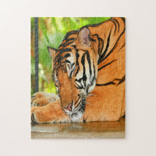 Sleeping Tiger Jigsaw Puzzle