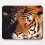 "Sleeping Tiger" Mousepad<br><div class="desc">Customise This Item To Say Anything You Like!</div>