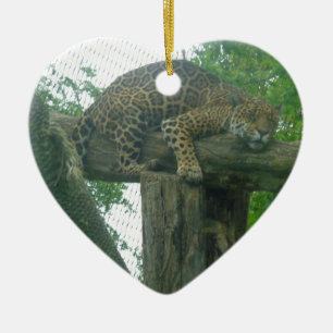 Sleeping Tiger on Tree, Forest, Nature, Wildlife Ceramic Tree Decoration