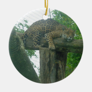 Sleeping Tiger on Tree, Forest, Nature, Wildlife Ceramic Tree Decoration