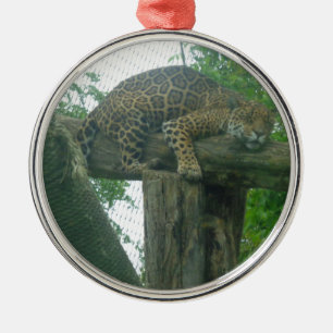 Sleeping Tiger on Tree, Forest, Nature, Wildlife Metal Tree Decoration