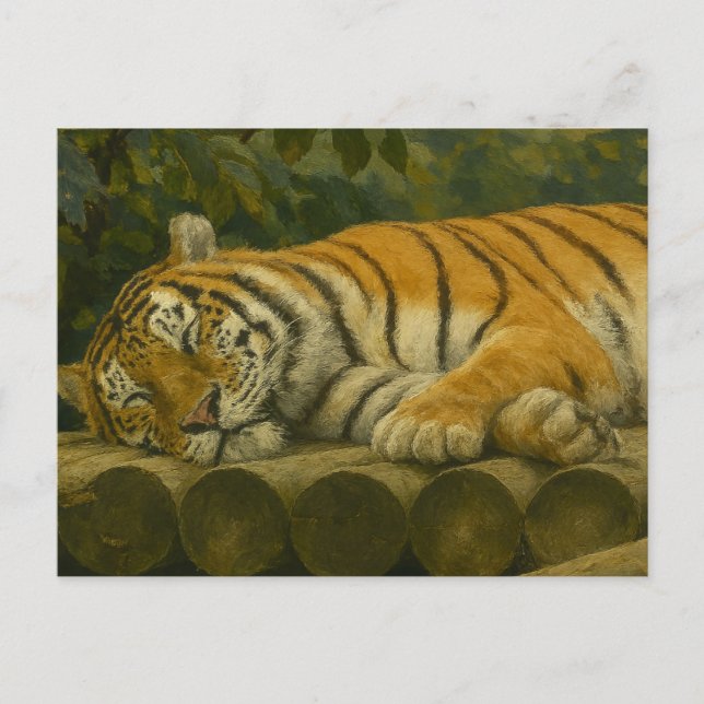 Sleeping Tiger on Wooden Logs Postcard (Front)