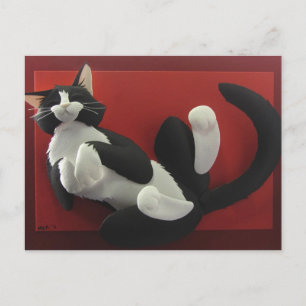 Sleeping Tuxedo Cat Postcard