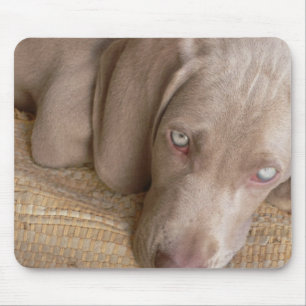 Sleeping Weimaraner Mouse Pad