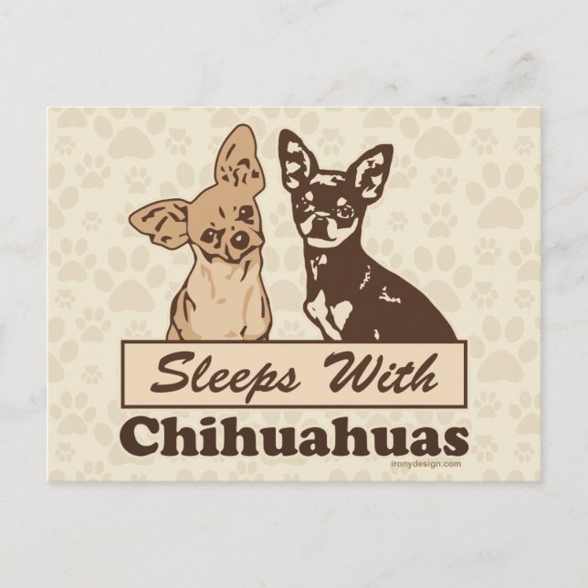 Sleeps With Chihuahuas Postcard (Front)