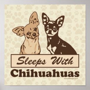 Sleeps With Chihuahuas Poster