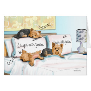 Sleeps with Yorkies