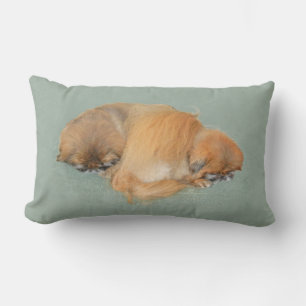 Sleepy Afternoon Lumbar Cushion