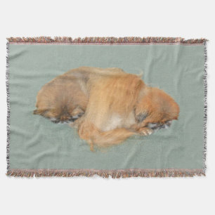 Sleepy Afternoon Throw Blanket
