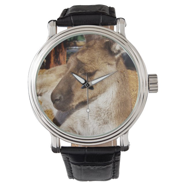 Sleepy Australian Kangaroo, Mens Leather Watch. Watch (Front)