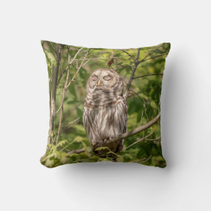 Sleepy Barred Owl Cushion