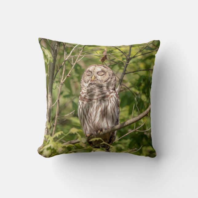 Sleepy Barred Owl Cushion (Front)
