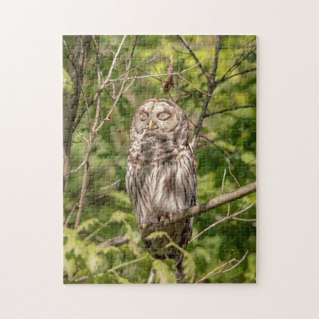 Sleepy Barred Owl Jigsaw Puzzle (Vertical)