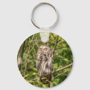 Sleepy Barred Owl Key Ring