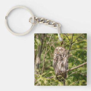 Sleepy Barred Owl Key Ring