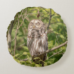 Sleepy Barred Owl Round Cushion