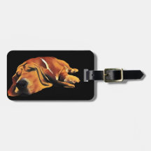 Sleepy Basset Luggage Tag