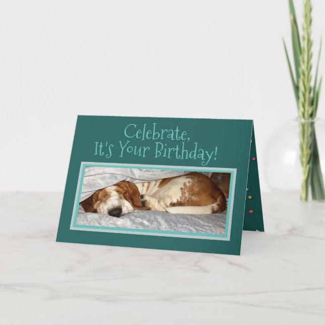 Sleepy Basset On "Party Animal" Birthday Card (Front)