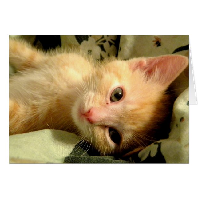 Sleepy Boy I (Front Horizontal)