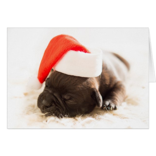 Sleepy Bulldog Puppy Christmas Card (Front Horizontal)