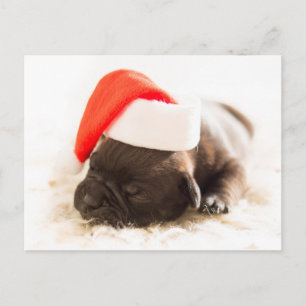 Sleepy Bulldog Puppy Christmas Postcard