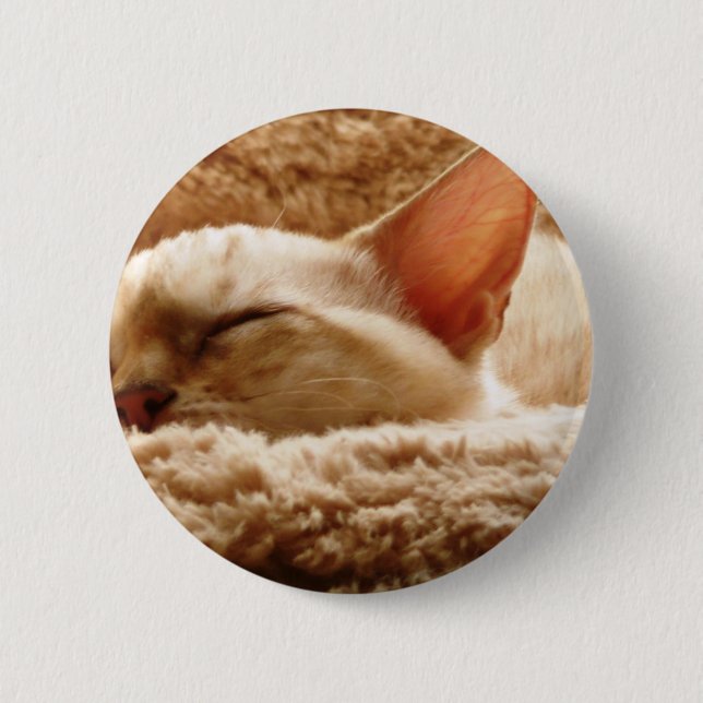 Sleepy Cat 6 Cm Round Badge (Front)