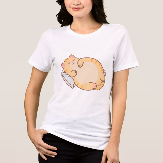 Sleepy Cat Aesthetic Tri-Blend Shirt (Front)