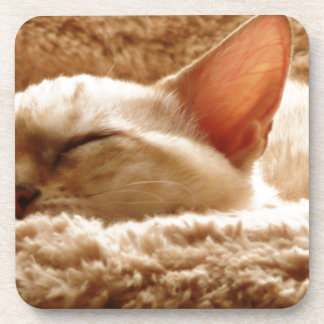 Sleepy Cat Coaster