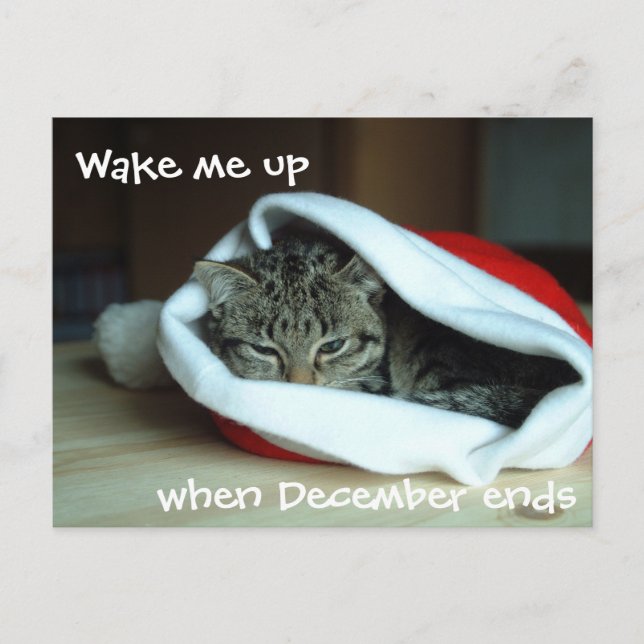 Sleepy Cat in Santa Hat Holiday Postcard (Front)