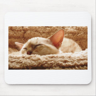 Sleepy Cat Mouse Pad
