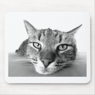 Sleepy Cat Mouse Pad
