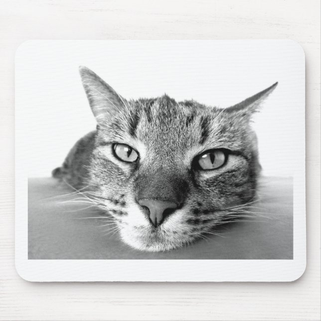 Sleepy Cat Mouse Pad (Front)
