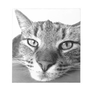 Sleepy Cat Notepad