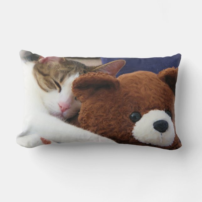 Sleepy Cat Teddy Bear Lumbar Cushion (Front)