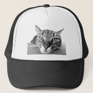 Sleepy Cat Trucker Hat