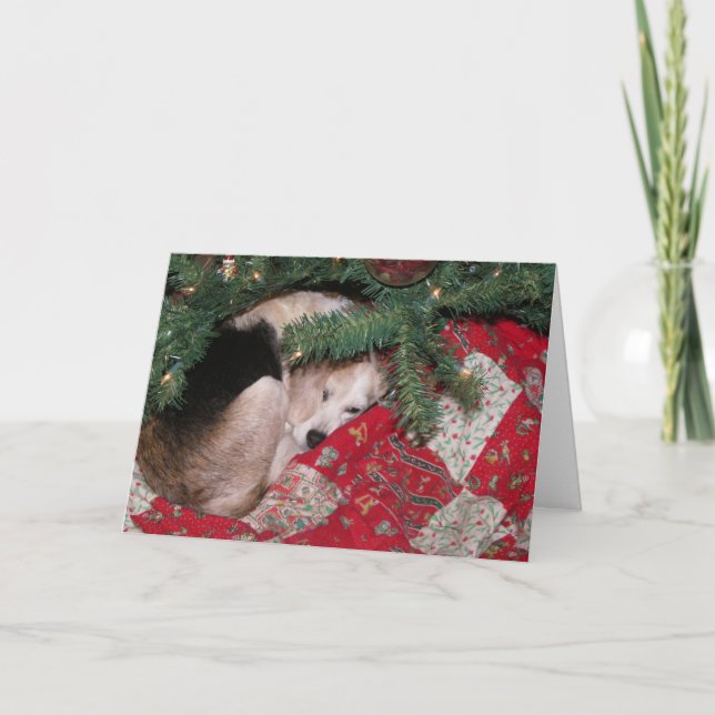 Sleepy Christmas Beagle Holiday Card (Front)
