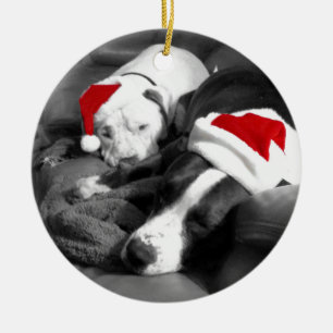 sleepy christmas pitbull puppies adorable santa ceramic tree decoration