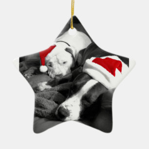 sleepy christmas pitbull puppies adorable santa ceramic tree decoration