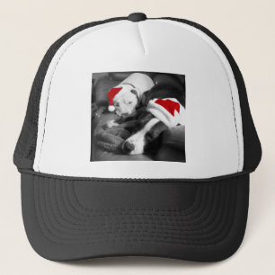 sleepy christmas pitbull puppies adorable santa trucker hat