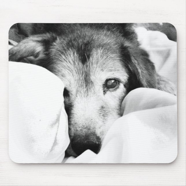 sleepy cuddle dog on bed black white grey mouse pad (Front)