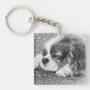 Sleepy Dog  Acrylic Key Ring