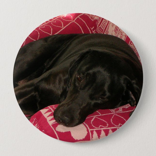 Sleepy Dog Button (Front)