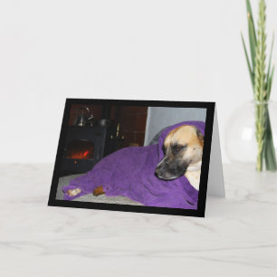 Sleepy Dog by Fireplace Card