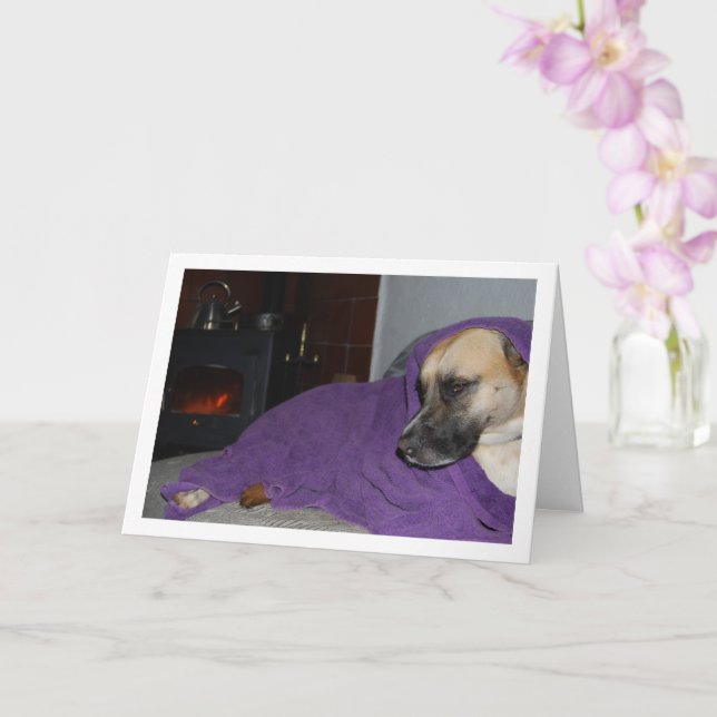 Sleepy Dog by Fireplace Card (Orchid)