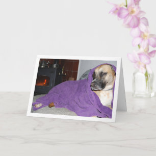 Sleepy Dog by Fireplace Card