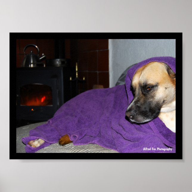 Sleepy Dog by Fireplace Poster (Front)